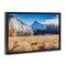 Stupell Industries Coyote in Mountain Prairie Floating Frame, design by Jeff Poe Photography